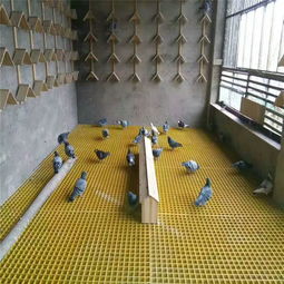 廠家特價直供園林綠化樹池地格柵 漏水篦子地格柵排水溝格柵蓋板