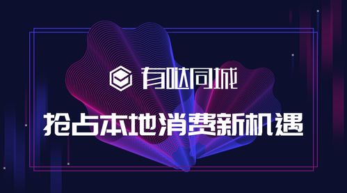 同城本地分類(lèi)信息發(fā)布系統(tǒng)盈利模式 有調(diào)小程序